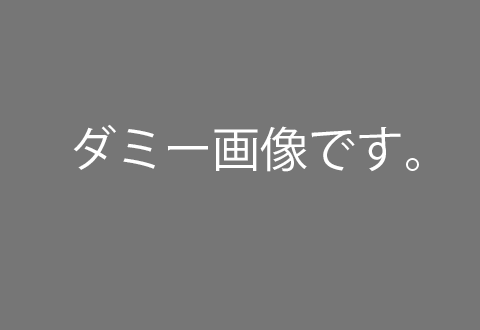 dammy.gif